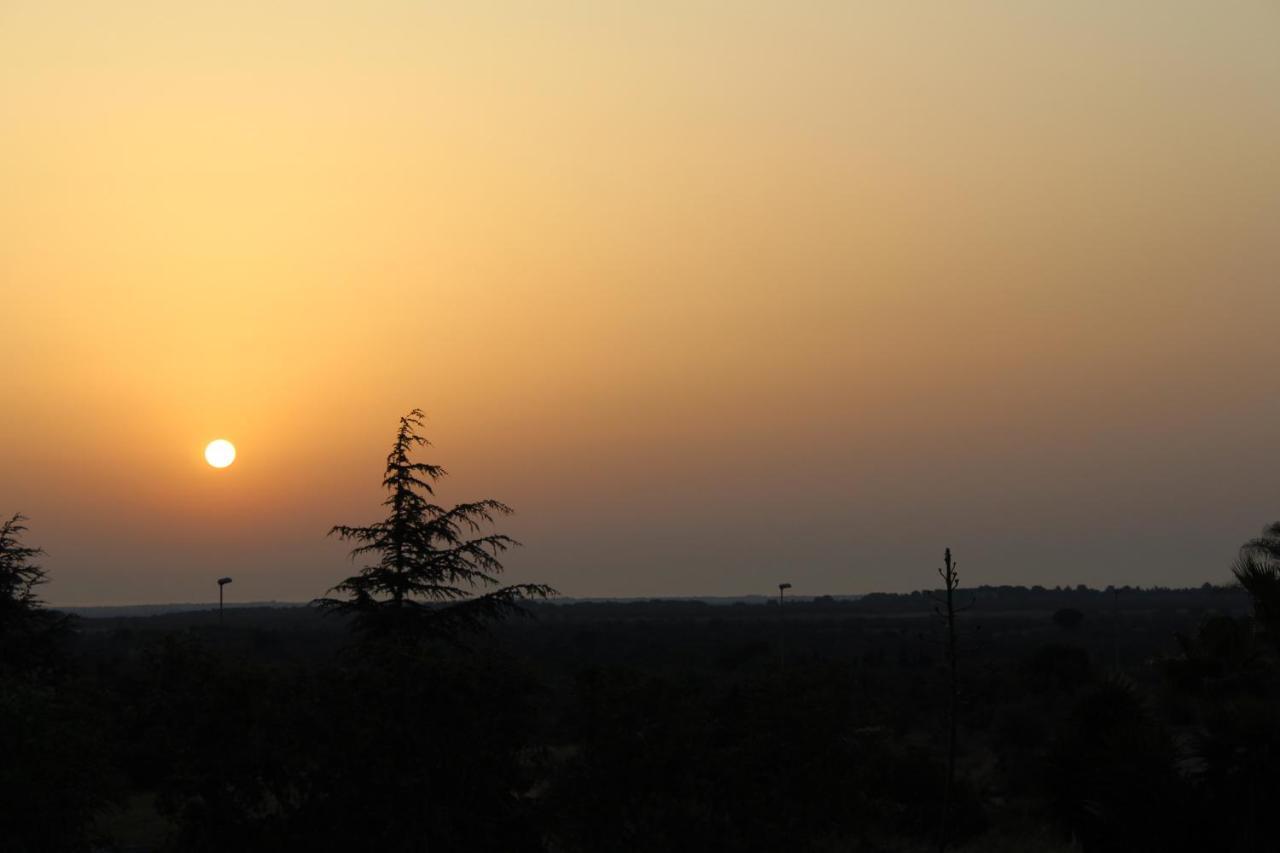 Sunflowersalento Serrano Εξωτερικό φωτογραφία